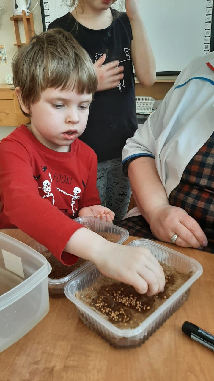 photo 2022 05 31 18 55 00